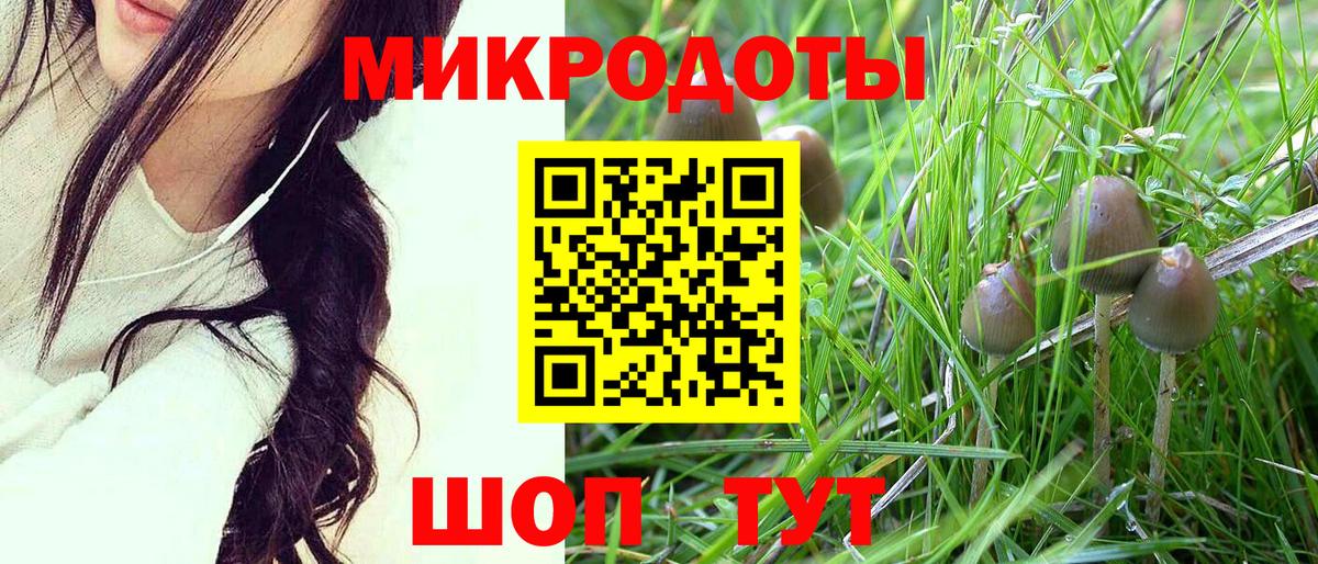 Шадринск  Псилоцибиновые грибы Psilocybine cubensis  Псилоцибиновые грибы Cubensis  Вход с VPN 